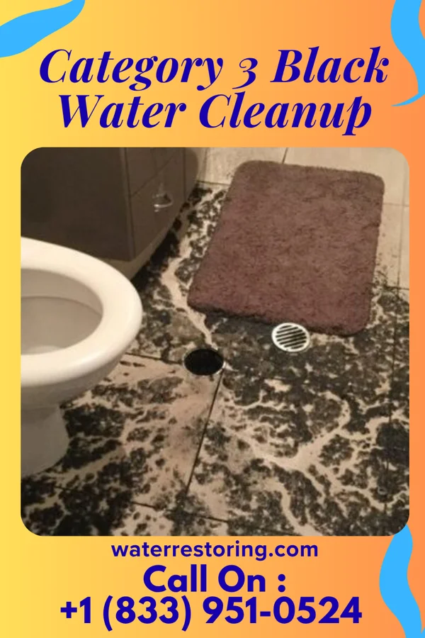 Category 3 Black Water Cleanup in Pomona, NY