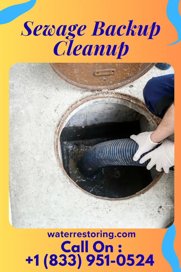 Sewage Backup Cleanup in Pomona, NY